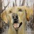 Bird Dog Museum Student Art Contest